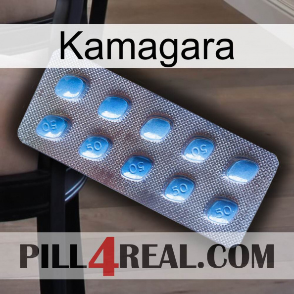 Kamagara viagra3.jpg